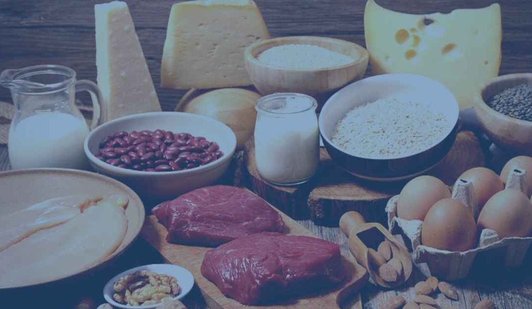 An Introduction to Nutrition