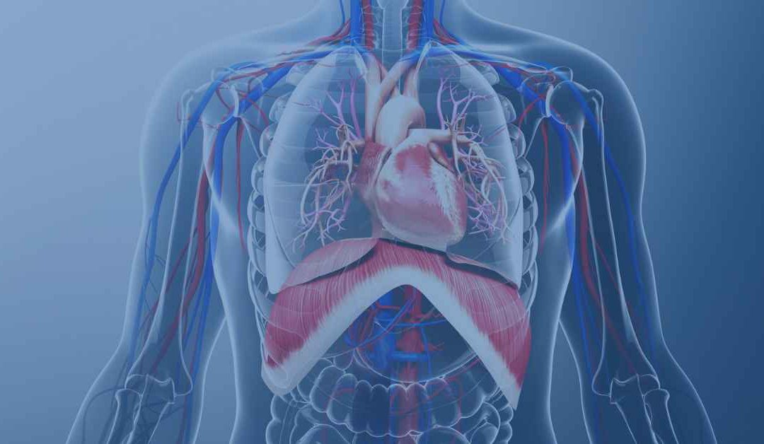 The Breathing Action