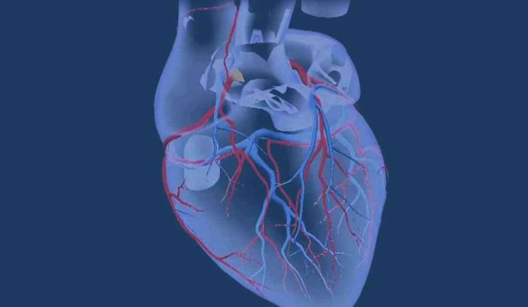 The Coronary Arteries