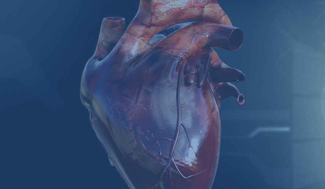 The Structure of the Heart