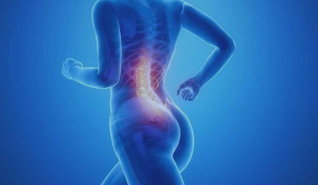 Exaggerated Curves of the Spine – Lordosis