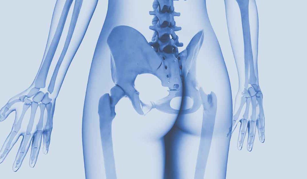 Appendicular Skeleton: The Pelvic Girdle and Lower Limbs