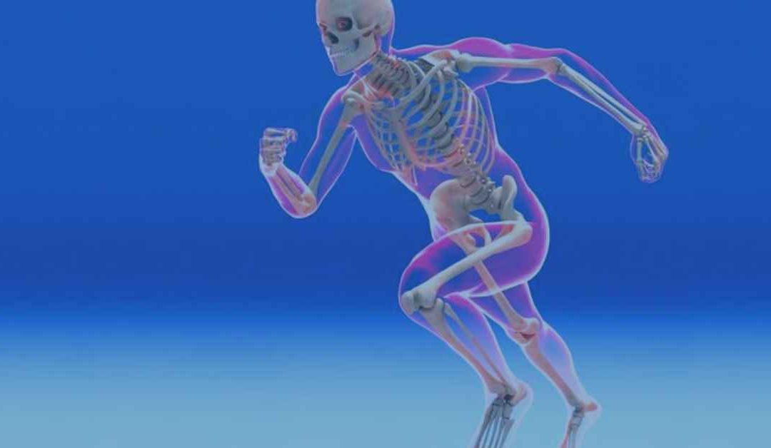 The Joints of the Body