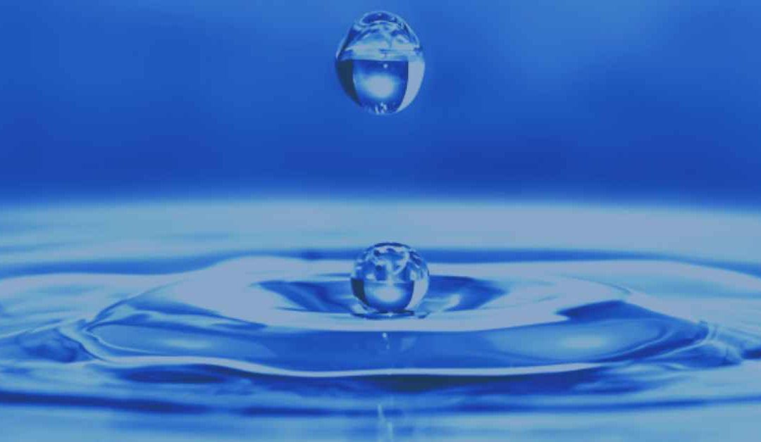 Stay Hydrated – Water