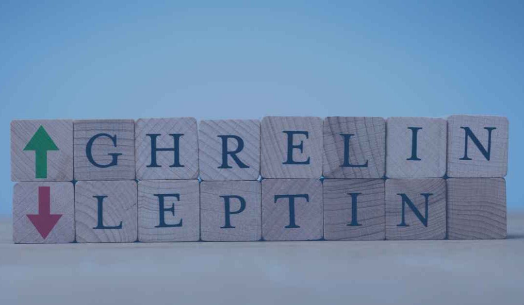 Keeping Hunger Controlled – Leptin and Ghrelin