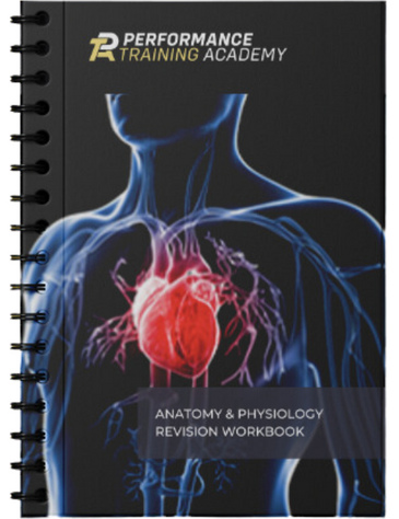 Anatomy & Physiology workbook cover