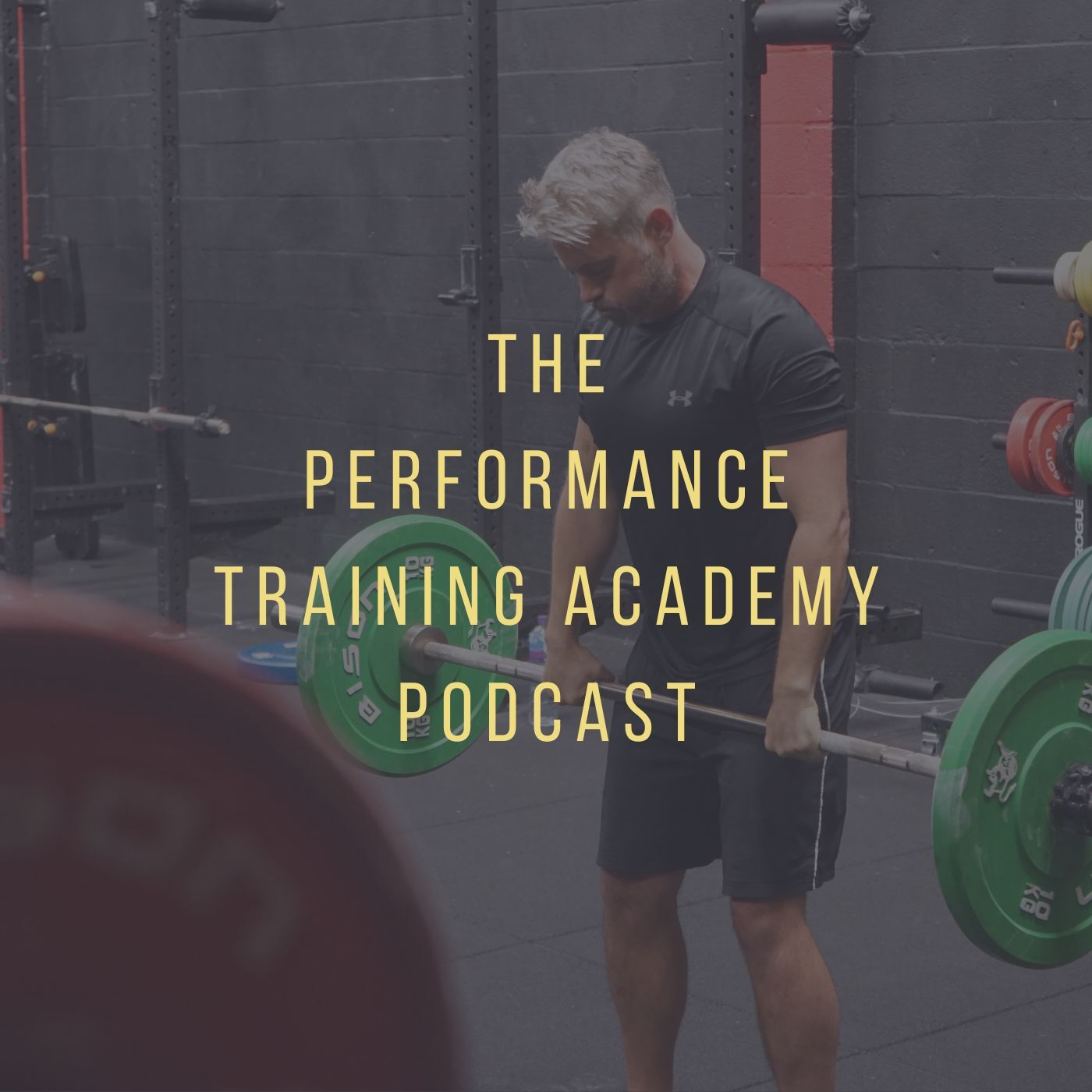 The Performance Training Academy Podcast podcast artwork